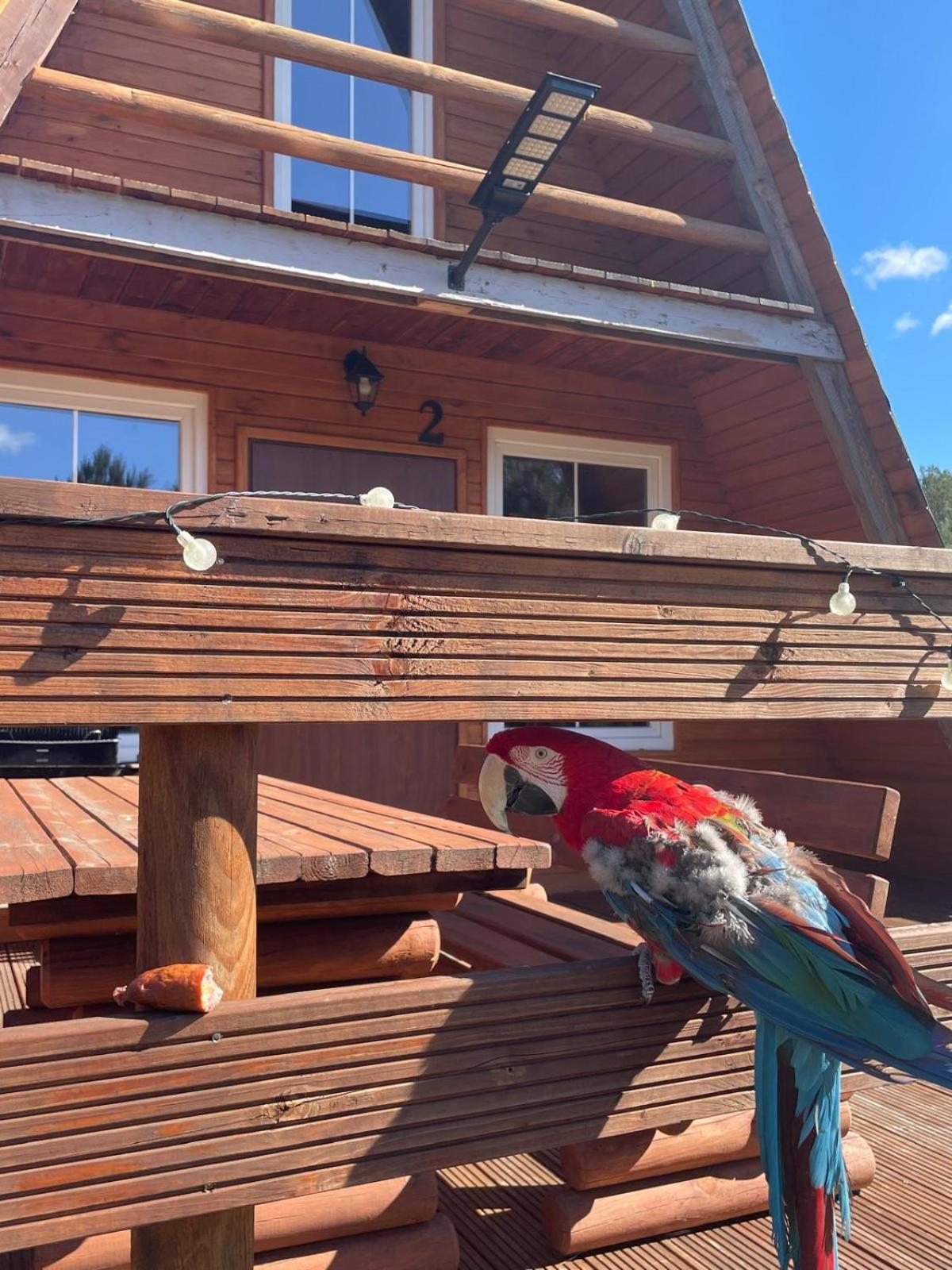 Holiday home Bory Tucholskie - Kurs Na Wypoczynek
